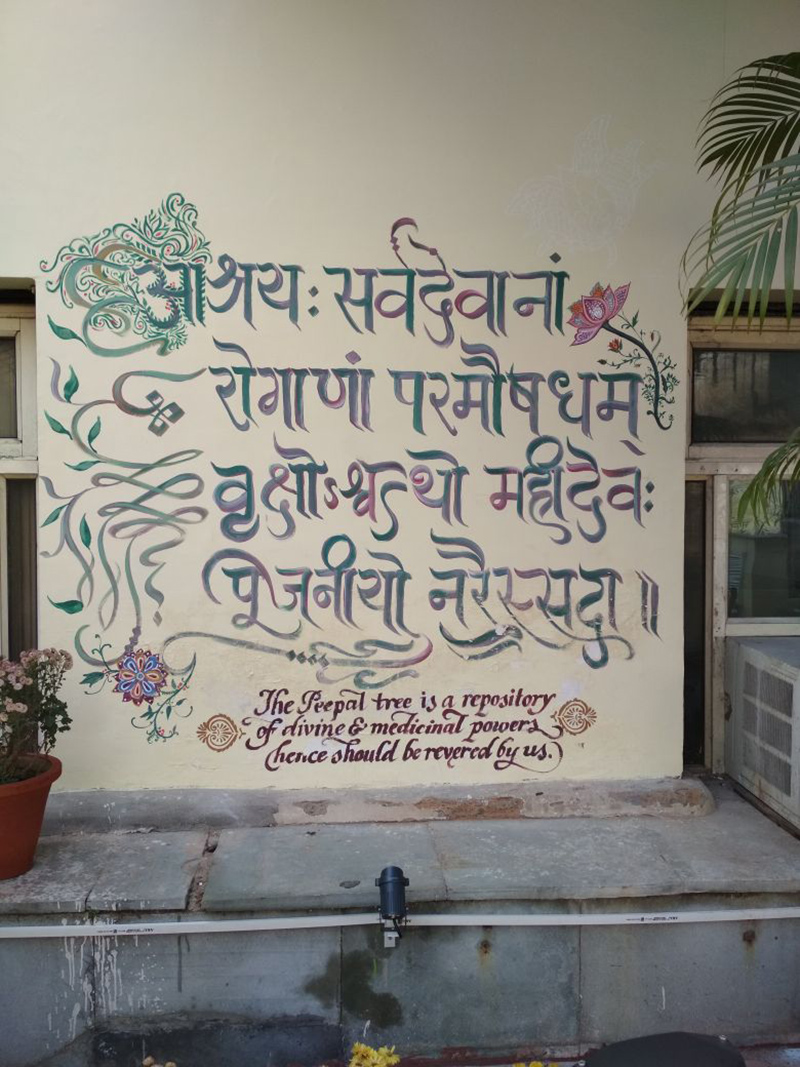 calligraphie, indienne, shipra, Dutta, mur, inde