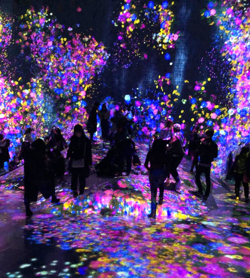 Teamlab, borderless, Japon, Tokyo, art, contemporain