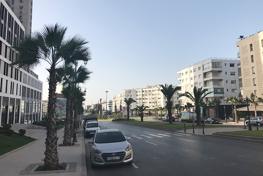 Rabat, Maroc, rue, urbain, vue, palmier, soleil, street art