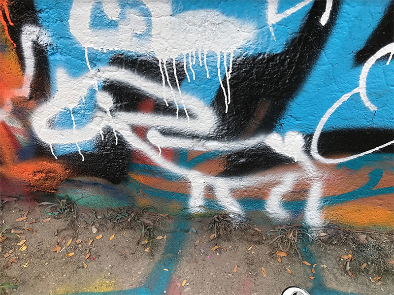 chien, enfant, tag, graff, rigolo